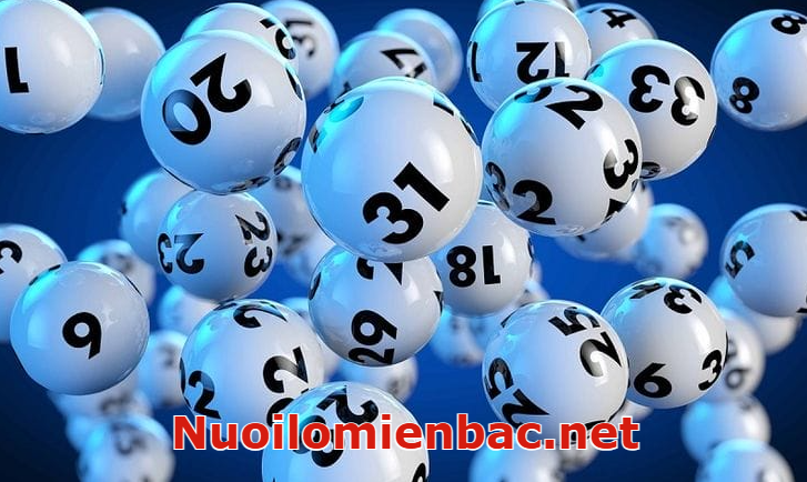 Lô xiên 2 miền bắc