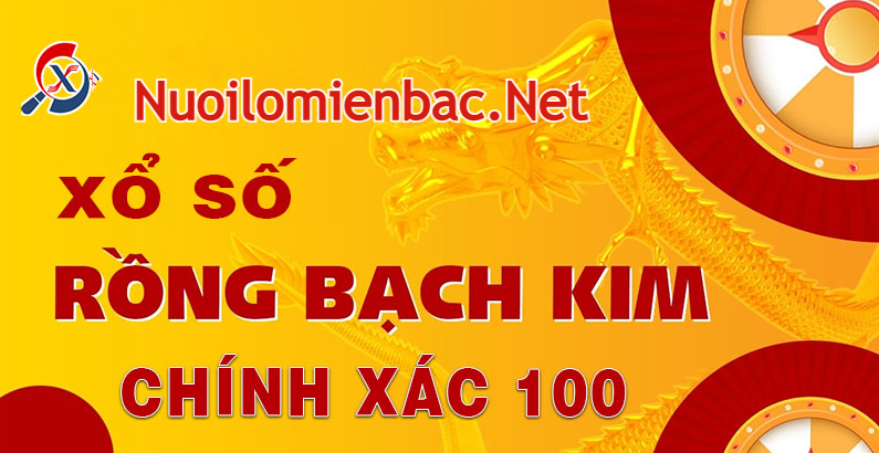 Soi cầu rồng bạch kim chính xác 100