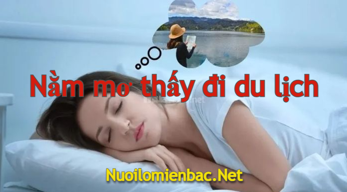 Nằm mơ thấy đi du lịch