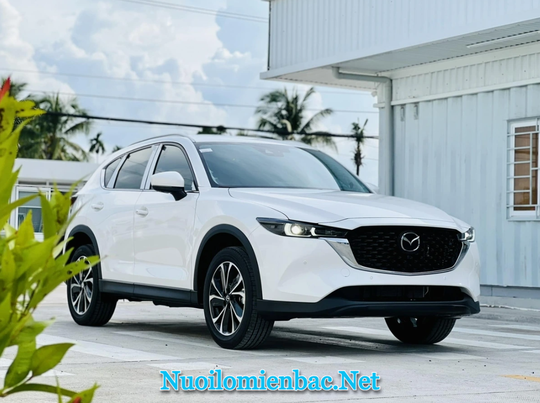 Nằm mơ thấy xe ô tô